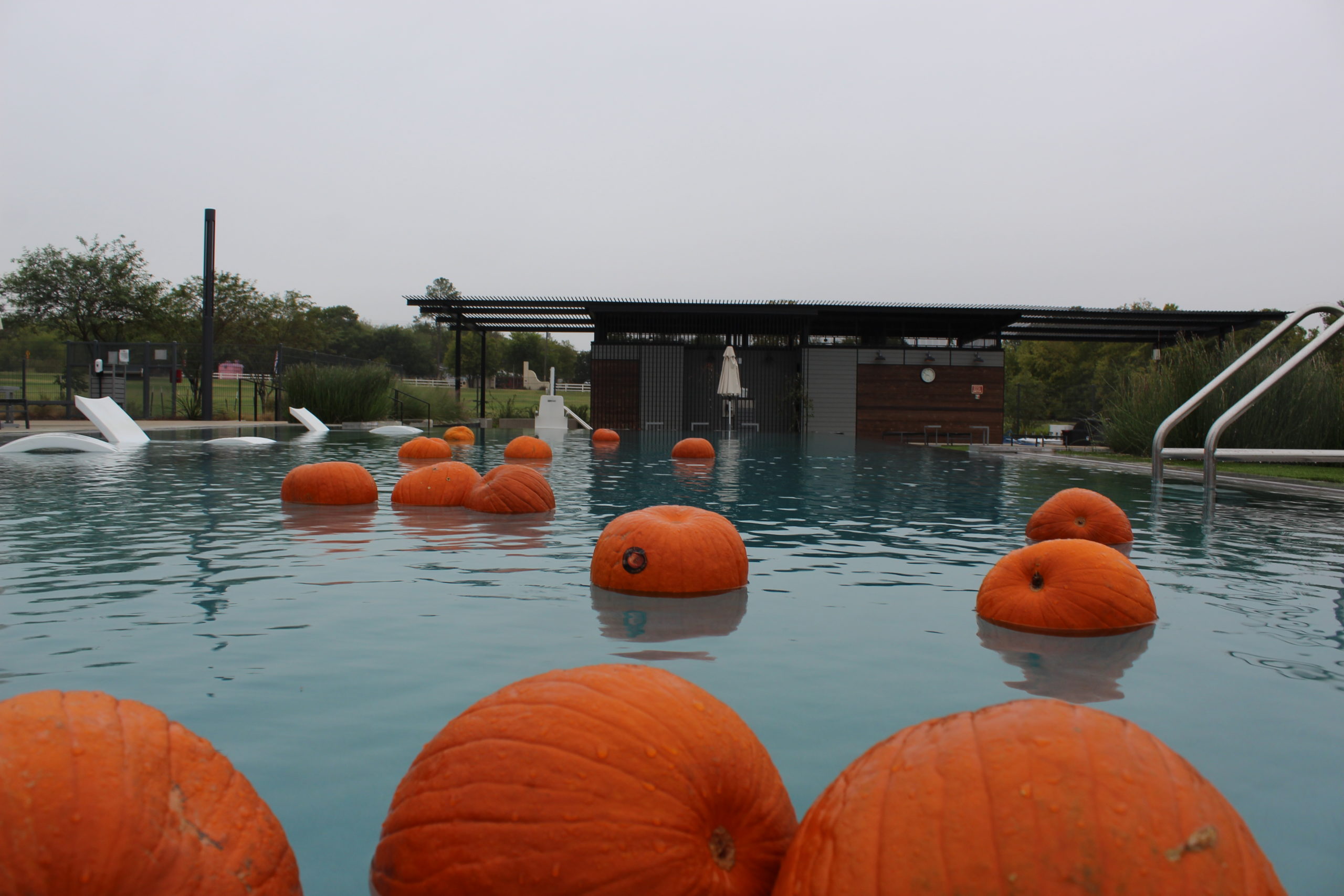 Dunkin' For Pumpkins Easton Park